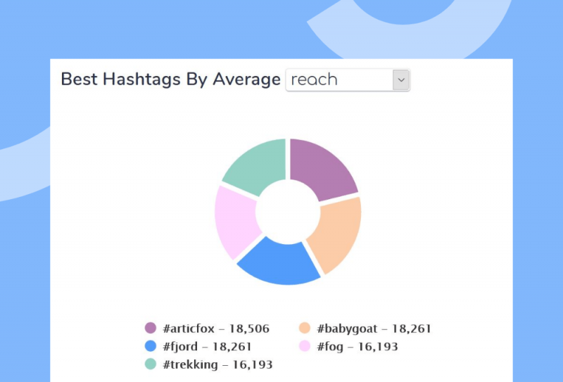 Instagram Insights – czym są i czy wystarczy 7 dni danych?