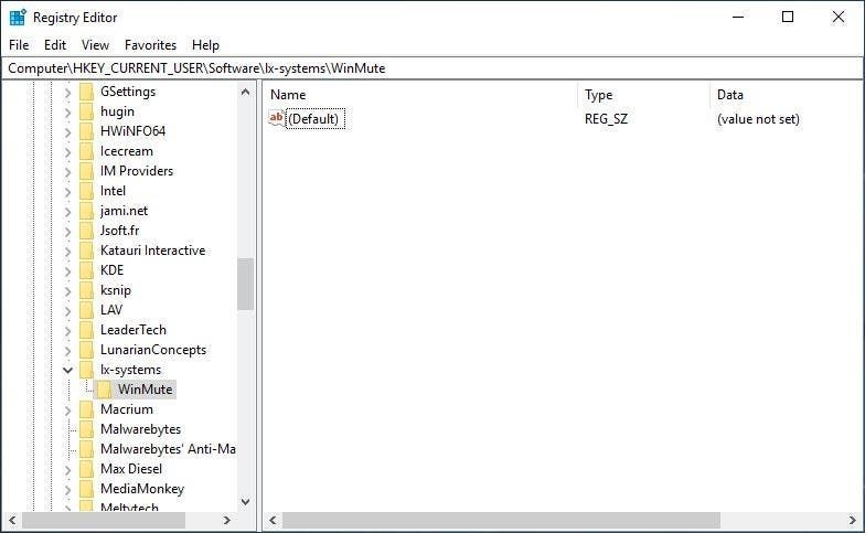 WinMute registry key