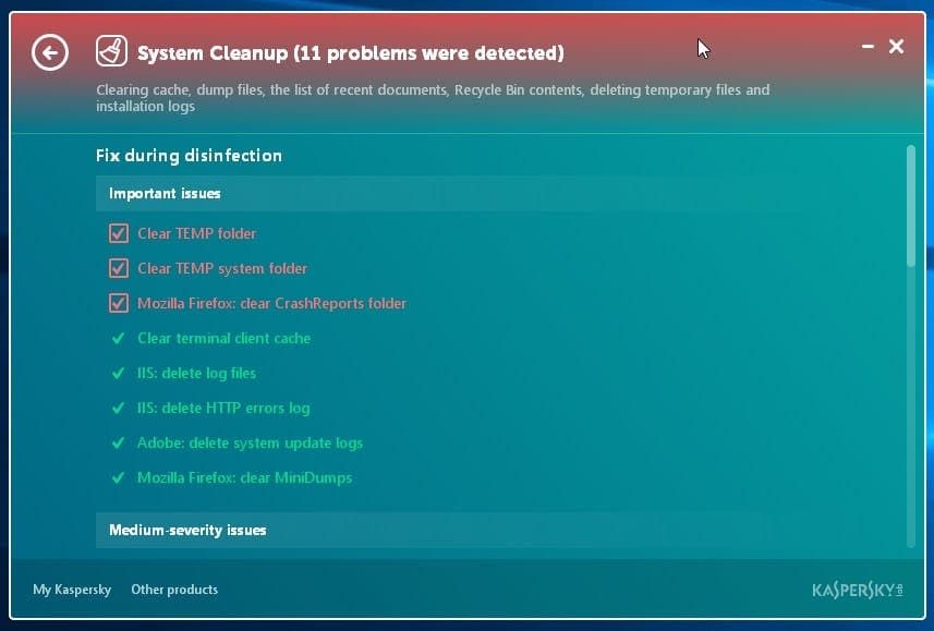cleanup details