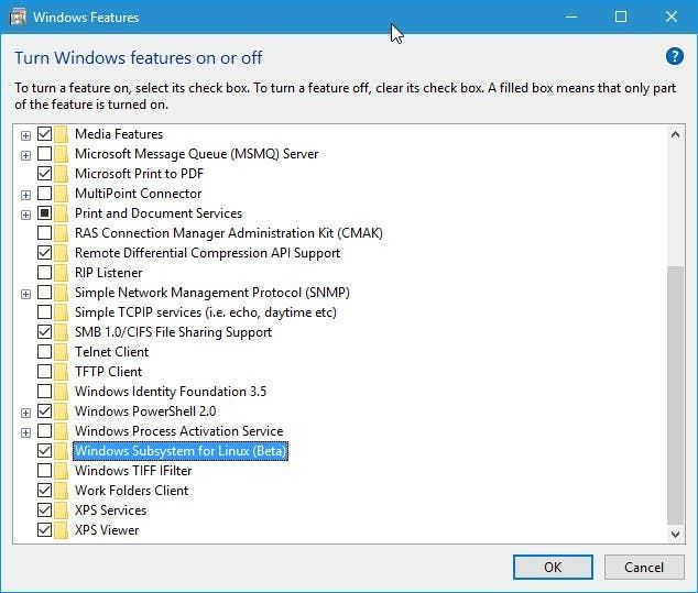 windows subsystem for linux