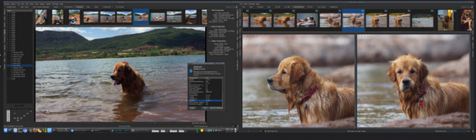 10 organizadores de fotos grátis para Windows 10 3